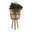 POTS À BAMBOU -394870045-394870042-394870046