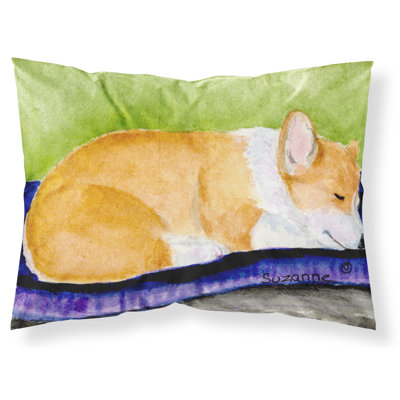 Corgi Microfiber