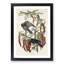 Fish Crows by John James Audubon - Picture Frame Art Print-55609179-55609182