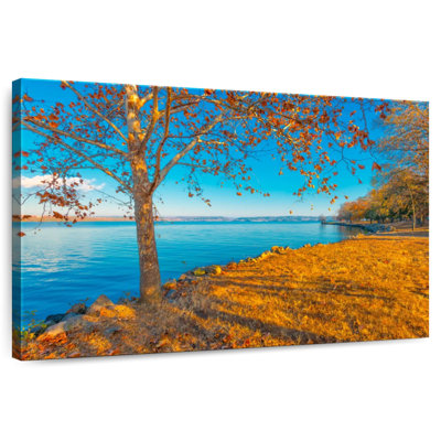 Lac Dardanelle