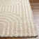 Shag Area Rug
