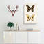 Giant Swallowtail Butterfly by S.F. Denton - Wrapped Canvas-55366088