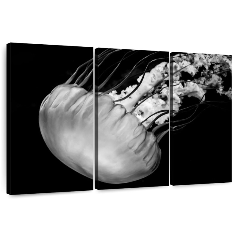 Brampt Underwater Jellyfish, 32" H x 50" W