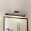 Chawton Picture Light-1883000589-1883000587