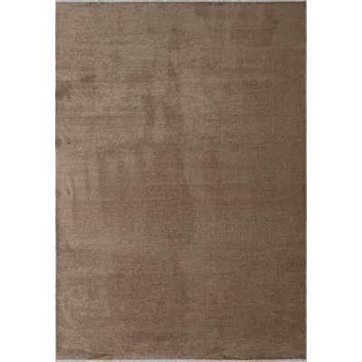 Rapture Area Rug in Brown