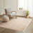  Soft Polyester Shag Area Rug-149544117