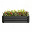 Jardinières rectangulaires surélevées-352784140-352784141