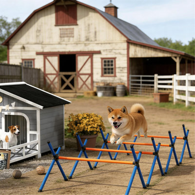 Équipement d'agilité pour animaux de compagnie, ensemble de jardin pour cours d'agilité pour chiens, équipement d'agilité pour chiens