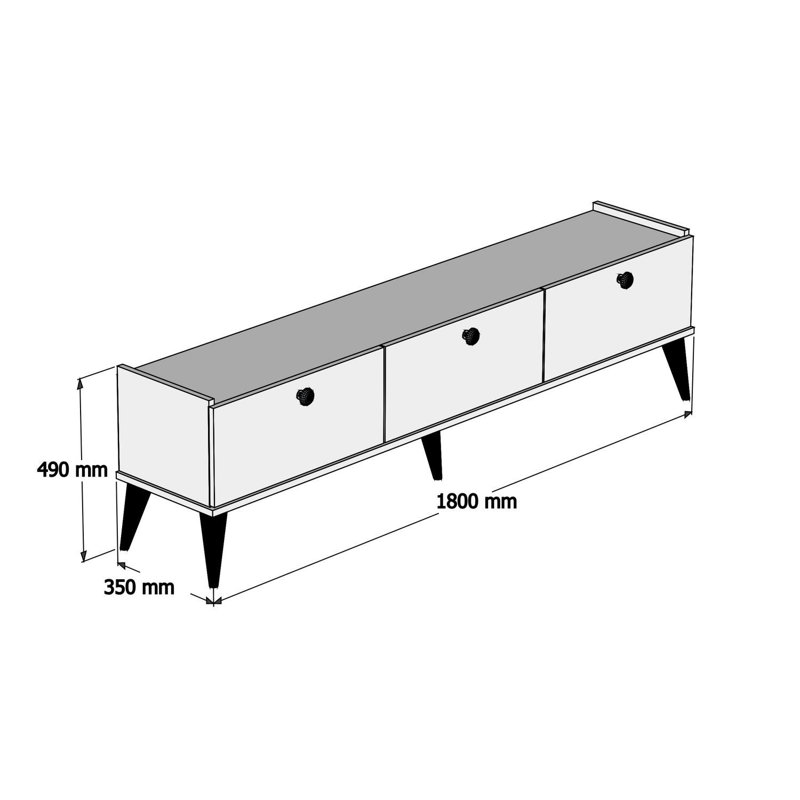 Paden TV Stand for TVs up to 55"