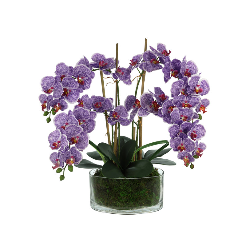 Polysilk Orchid Arrangement in Vase