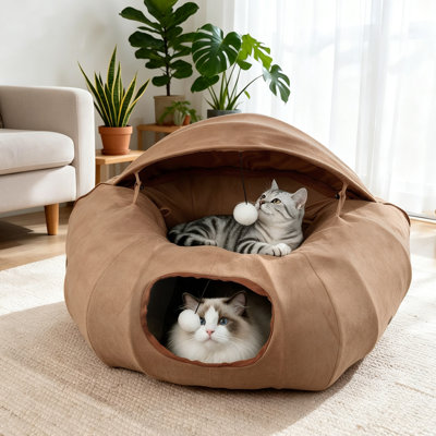 Agneau, chat, beignet, tunnel, brun clair