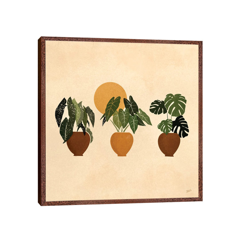 Houseplants I by Bria Nicole - Print on Canvas, 45.72 cm H x 45.72 cm W, Classic Brown Wood Framed Canvas
