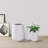 Handmade Pot Planter-1424887135