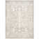 Calidia Oriental Light Gray Area Rug