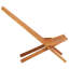 Poteet Folding Deck Chair