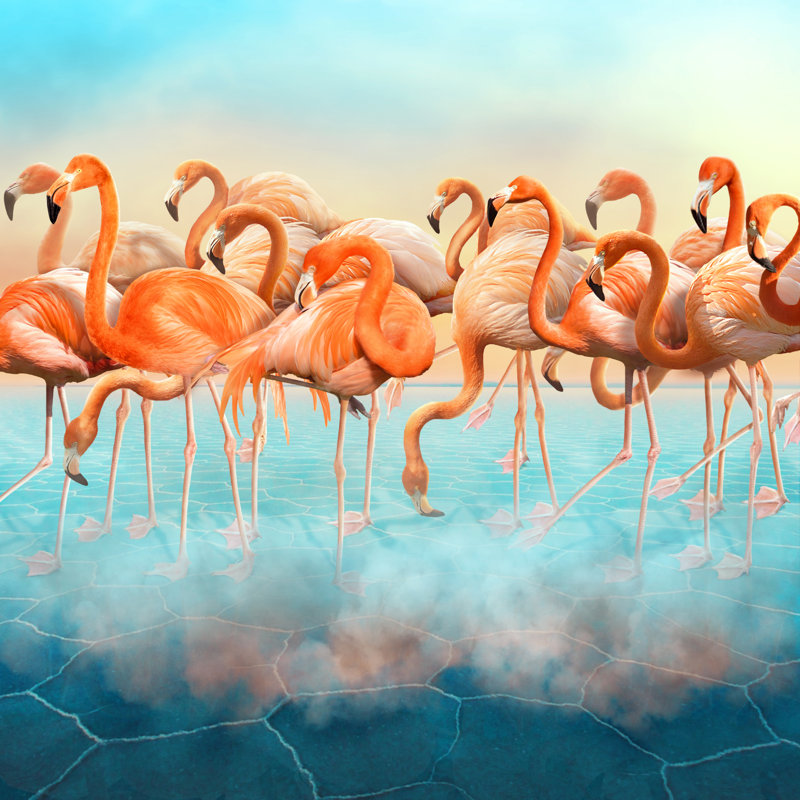 Landan Landan Beautiful Red Flamingo - Wrapped Canvas Print, 30cm H x 30cm W x 3.8cm D