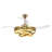 Ceiling Fan Light With Remote Control