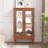 Elegant 2-Door Curio Cabinet With Tempered Glass Doors, Mirrored Back Panel, And Adjustable Shelves - Lighted Display For Home And Office (Light Bulb Included)-258744652