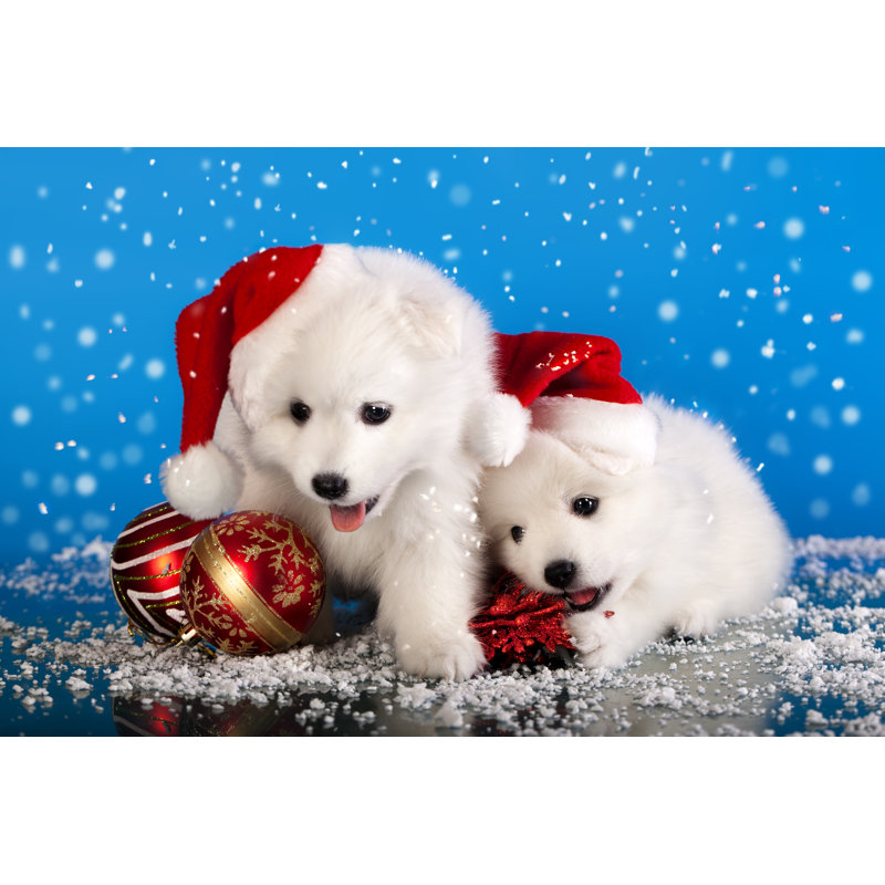 Fluffy Puppies In The Snow With Santa Hats by Liliya Kulianionak - Wrapped Canvas Print, 61cm H x 91cm W x 3.8cm D