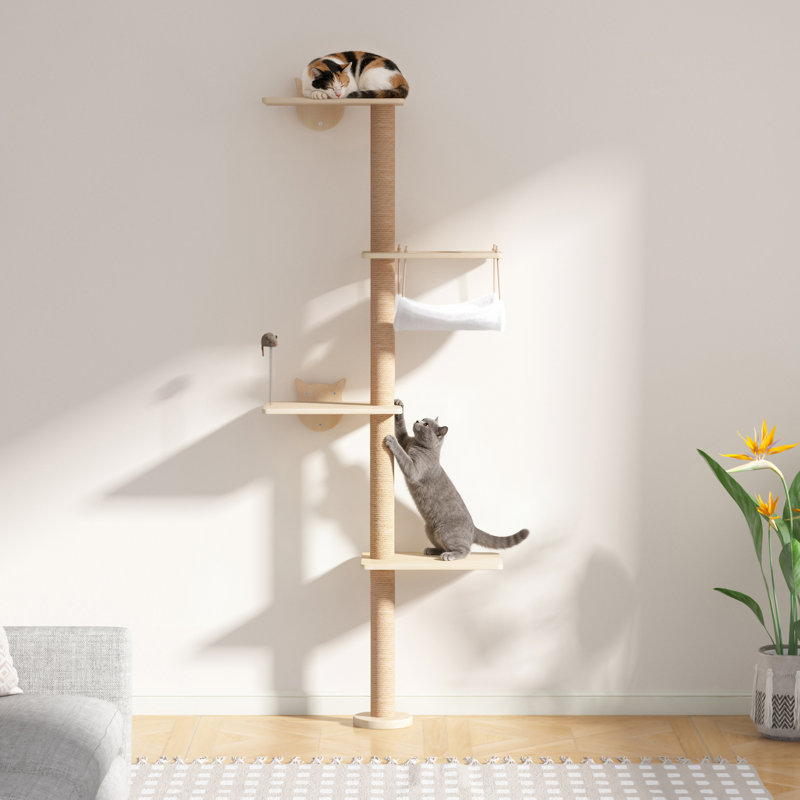Scratching Post