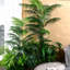 160cm Faux Plant in Nursery Pot