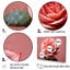Cactus Rose Resilience I - Ensemble de décoration murale cactus floral-2060078791-2060078784