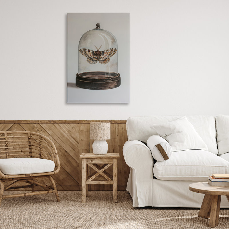 «Moth in Glass Cloche» par Petal Prints Design, H 36 po x l 24 po