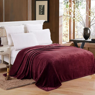 Plain Weave / Muslin Throw Blanket