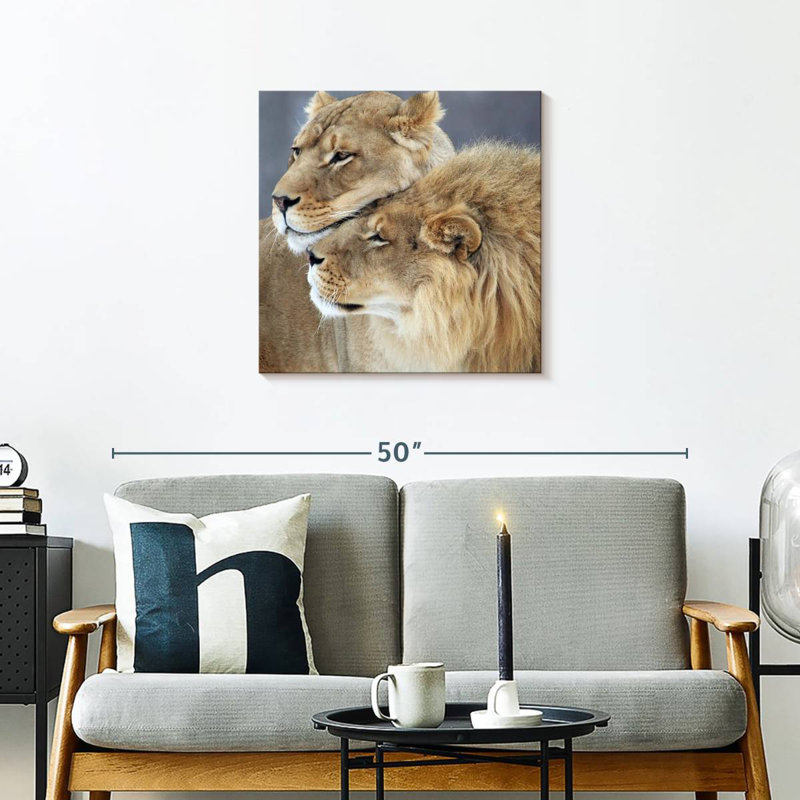 Amour de lion et de lionne Brampt, H 24 po x l 24 po