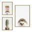 «Hedgehog, Hedgehog Donuts and Hedgehog Pineapple» par Amy Peterson, ensemble d'art mural sur toile encadrée