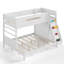 Kids Bunk Bed-541956149-541956147
