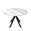 Dining Table-1003052256