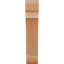 Attelle de genou olympique-31229503-29309935-31230593