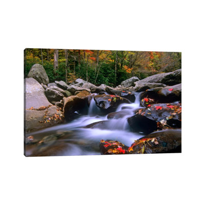 Little Pigeon River, Cascading Among Rocks And Fall Maple Leaves, Great Smoky Mountains National Park, Tennessee I by Tim Fitzharris - Wrapped Canvas Print