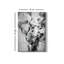 Impression sur toile tendue