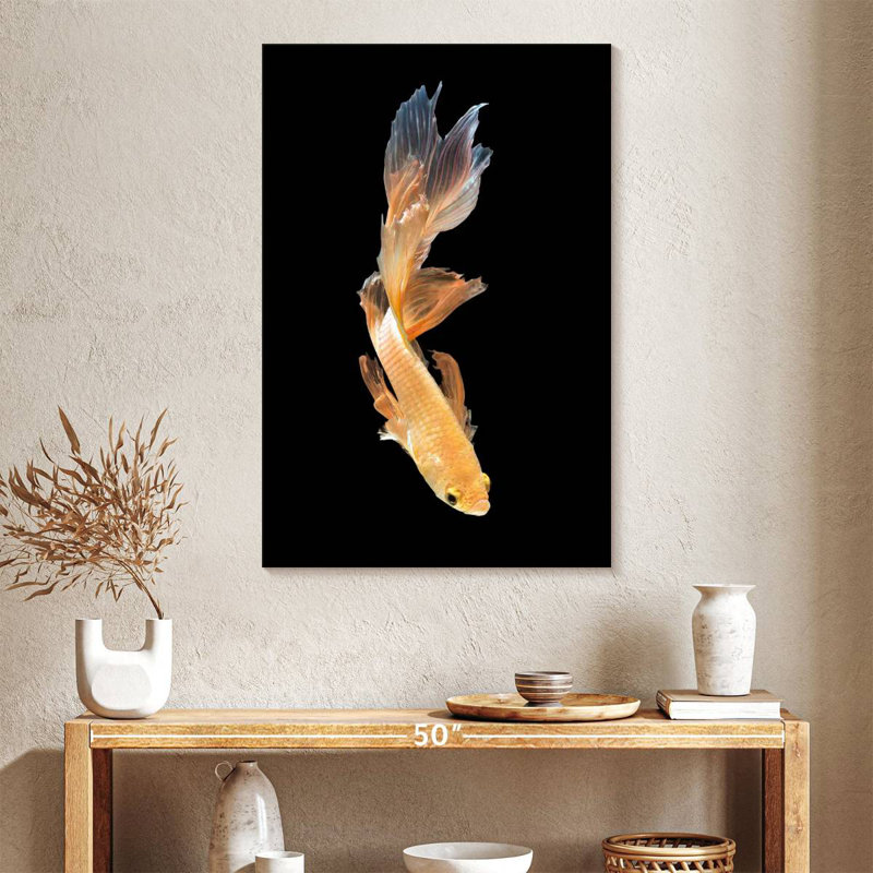 Plongée Brampt Betta, H 39 po x l 26 po