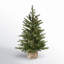 The Holiday Aisle® Nordic Spruce Tree with Clear Lights-1808368497