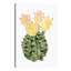 « cactus fleuri ii » par grace-pop, reproduction d’art-49904722-49904724