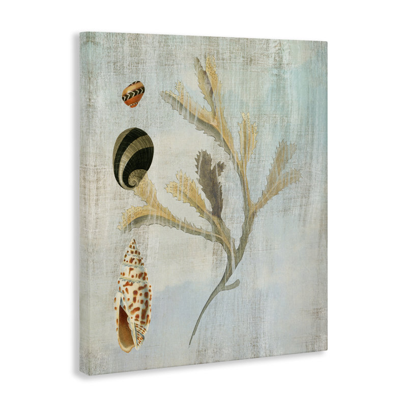 Mixed Seashells & Coral Canvas, design by Susan Arnot, 20" H x 16" W