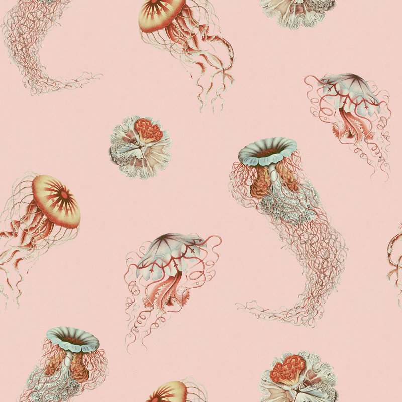 Medusa, Blush