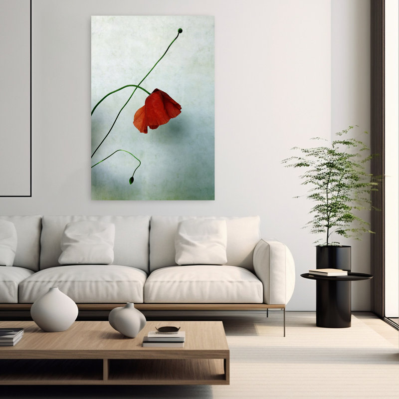 Contemporary Art Elegant Modern Organic Poppy Nature Flower Wall Art by Angelo Cerantola - Wrapped Canvas Print