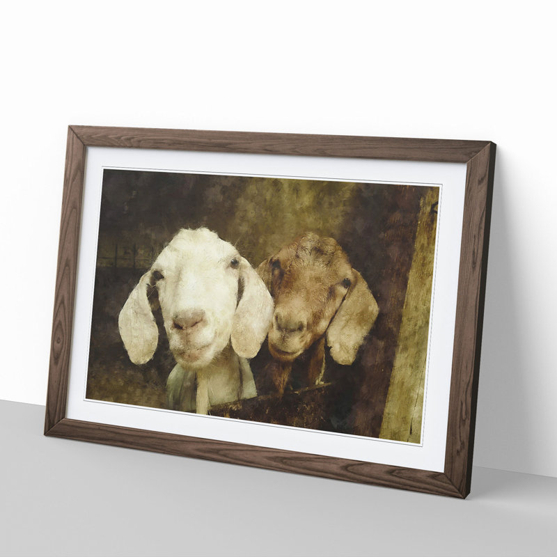 Pair of Goats - Framed Print, 36cm H x 48cm W x 2cm D, Walnut Framed