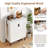 20 Pair Shoe Storage Cabinet