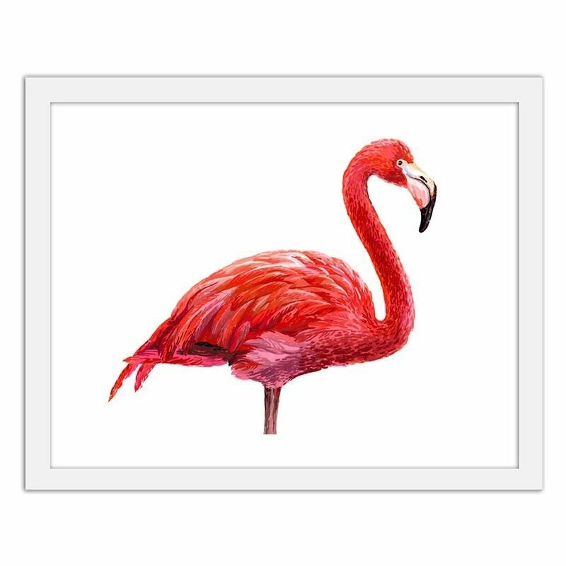 Gerahmter Fotodruck eine realistische Flamingo-Illustration