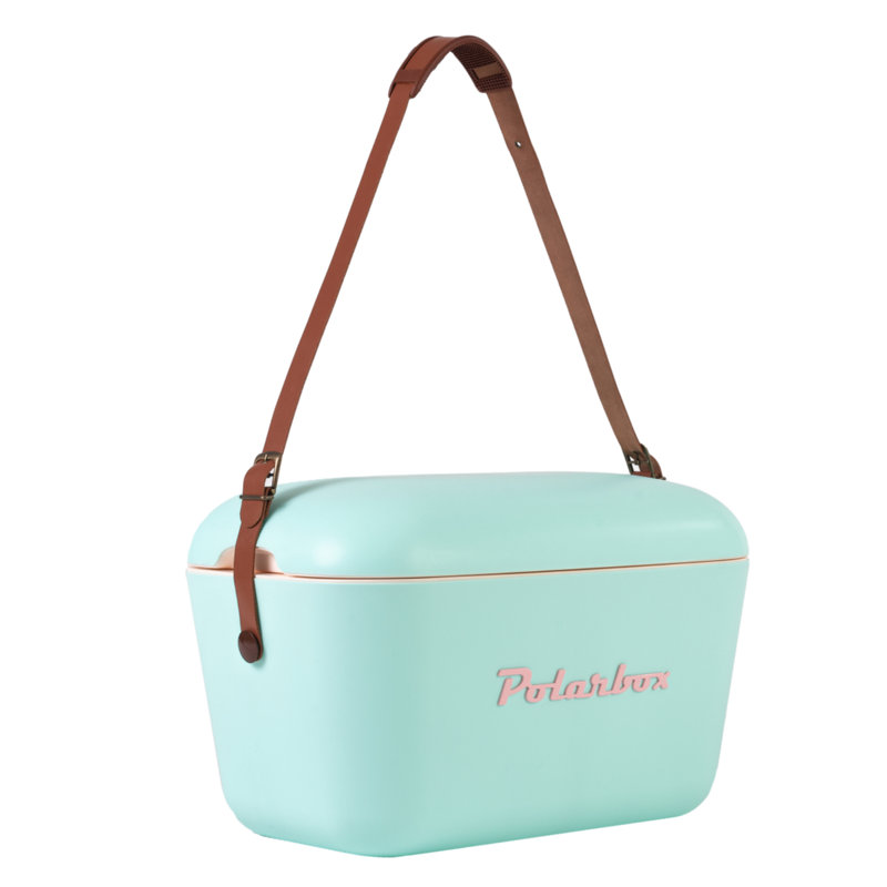 Polarbox 21 Quarts, Cyan