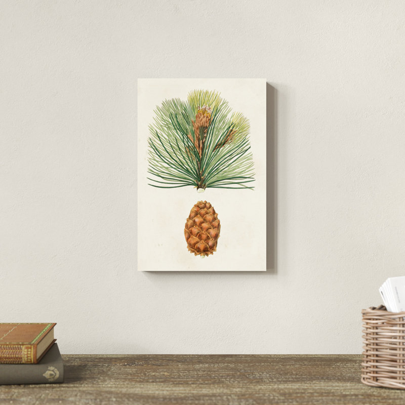 Pommes de pin antiques II, H 12 po x l 8 po