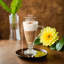 Mikado 255ml Drinking Glass Set