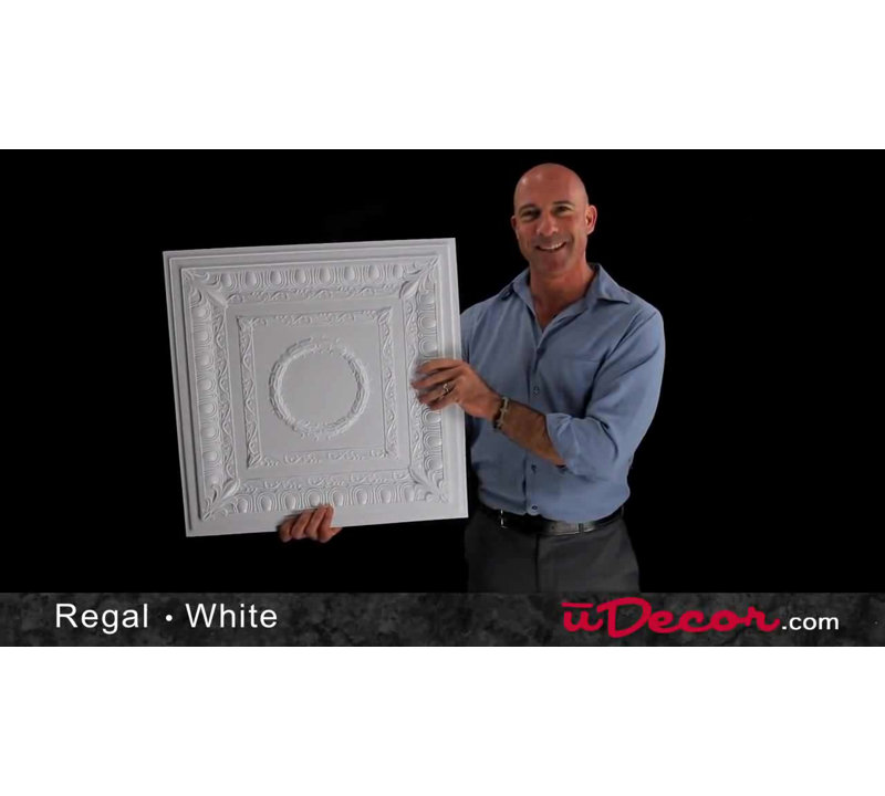 Royal White Faux Tin 2x2 ft Ceiling Tile