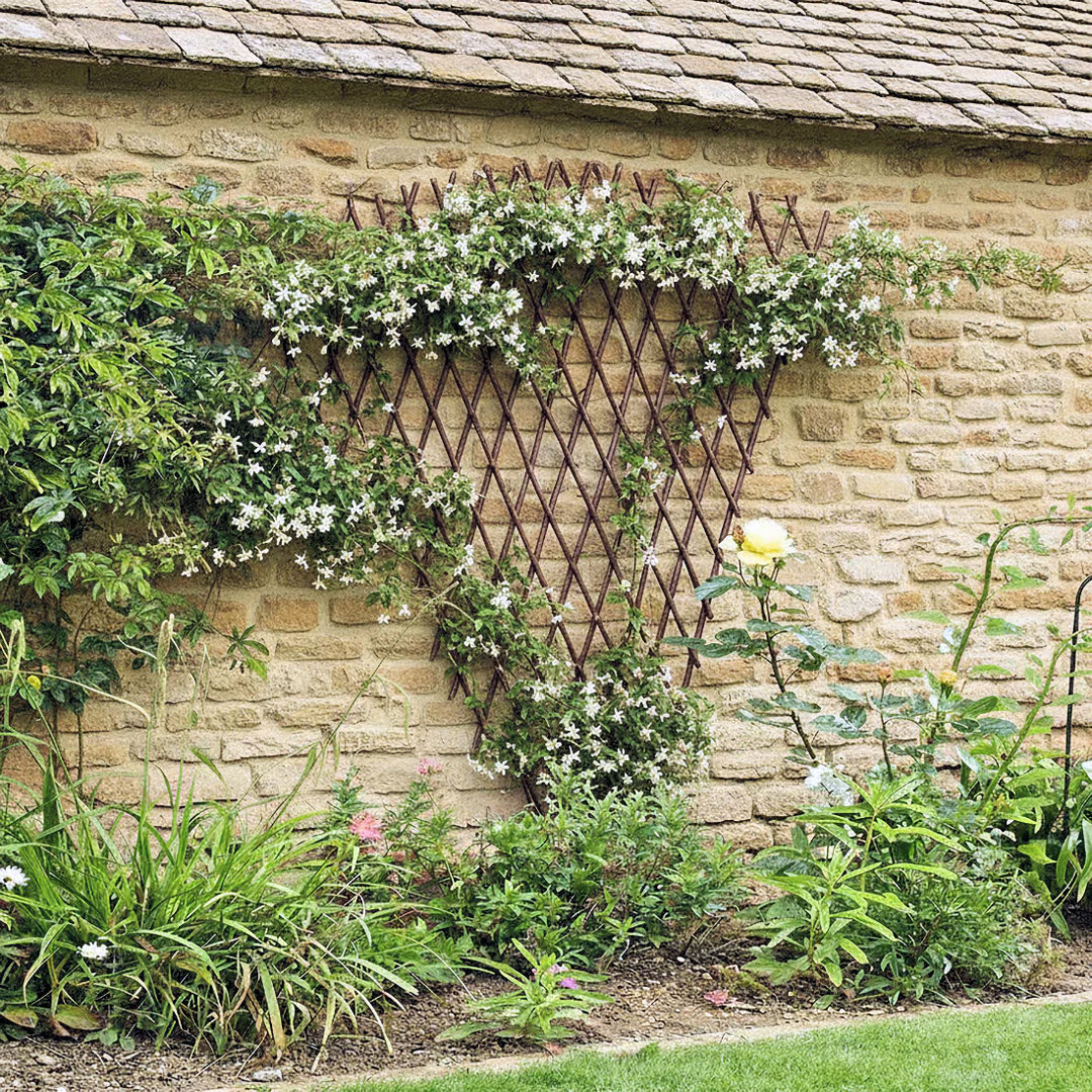 59'' H x 8'' W Wood Fan Trellis MGP