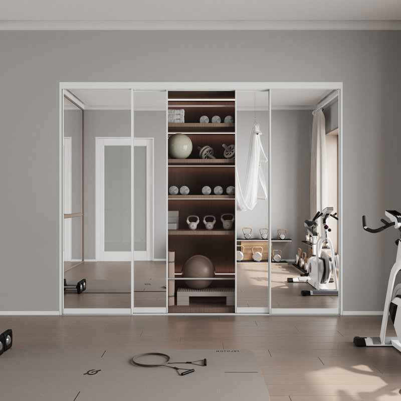 Double Aluminlum Mirror 80'' Single Glass Pane Metallic Sliding Closet Doors, 96" x 80"